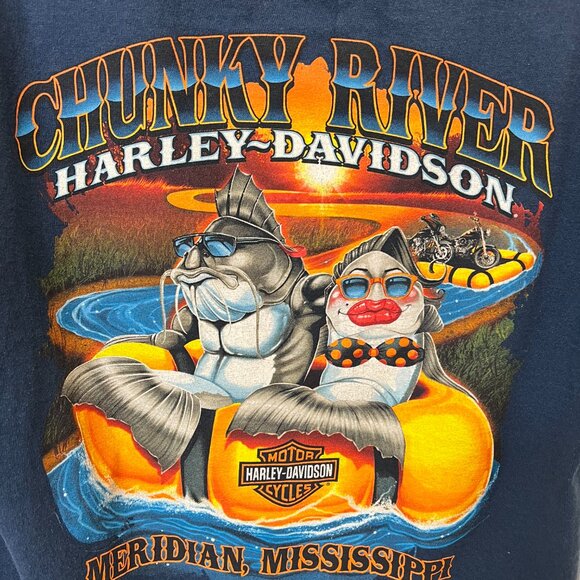 Harley-Davidson, Size: M, Blue, T-Shirt, - Picture 5 of 5